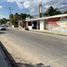  Land for rent in Chicxulub Pueblo, Yucatan, Chicxulub Pueblo