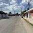  Land for rent in Chicxulub Pueblo, Yucatan, Chicxulub Pueblo
