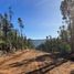  Terreno (Parcela) en venta en Maule, Cauquenes, Cauquenes, Maule