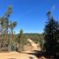  Terreno (Parcela) en venta en Maule, Cauquenes, Cauquenes, Maule