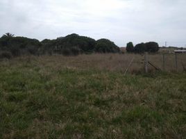  Land for sale in General Alvarado, Buenos Aires, General Alvarado