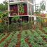 4 Bedroom House for rent in Lembang, West Jawa, Lembang