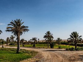  Grundstück zu verkaufen in Pisco, Ica, Paracas