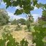  Land for sale in Chile, San Jode De Maipo, Cordillera, Santiago, Chile