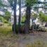  Land for sale in Chile, San Jode De Maipo, Cordillera, Santiago, Chile