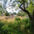  Land for sale in Chile, San Jode De Maipo, Cordillera, Santiago, Chile