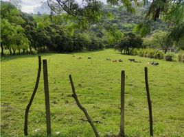  Terrain for sale in Girardota, Antioquia, Girardota