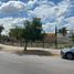  Grundstück zu vermieten in San Luis Potosi, San Luis Potosi, San Luis Potosi, San Luis Potosi