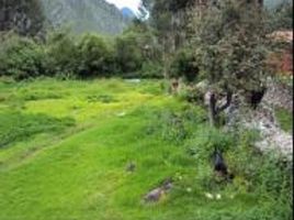  Terreno (Parcela) en venta en Cusco, Ollantaytambo, Urubamba, Cusco