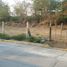  Land for rent in Chilpancingo De Los Bravo Guerrero, Chilpancingo De Los Bravo