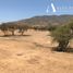  Land for sale in San Pedro, Santiago, San Pedro