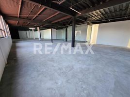 570 m2 Office for rent in Miguel Hidalgo, Mexico City, Miguel Hidalgo