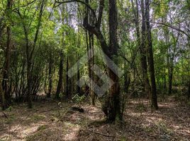  Terreno (Parcela) en venta en Llanquihue, Los Lagos, LLanquihue, Llanquihue