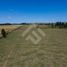  Terreno (Parcela) en venta en Llanquihue, Los Lagos, LLanquihue, Llanquihue