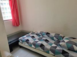 2 Kamar Kondominium for rent in East Jawa, Mulyorejo, Surabaya, East Jawa