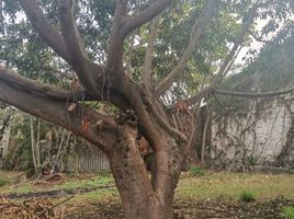  Grundstück zu verkaufen in Cuernavaca, Morelos, Cuernavaca