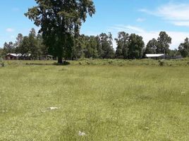  Land for sale in Cautin Araucania, Villarrica, Cautin