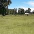  Land for sale in Cautin Araucania, Villarrica, Cautin