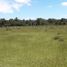  Land for sale in Cautin Araucania, Villarrica, Cautin