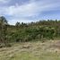  Terreno (Parcela) en venta en Navidad, Cardenal Caro, Navidad