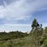  Terreno (Parcela) en venta en Navidad, Cardenal Caro, Navidad