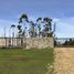 Terreno (Parcela) en venta en Navidad, Cardenal Caro, Navidad