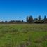  Terreno (Parcela) en venta en Maule, Longavi, Linares, Maule