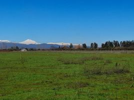  Terreno (Parcela) en venta en Maule, Longavi, Linares, Maule