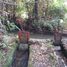  Terreno (Parcela) en venta en Maule, Longavi, Linares, Maule
