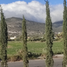  Land for sale in Ajacuba, Hidalgo, Ajacuba