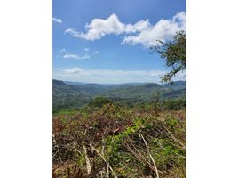  Land for sale in Cocle, Las Lomas, La Pintada, Cocle