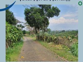  Terreno (Parcela) en venta en Bumiaji, East Jawa, Bumiaji, Malang Regency