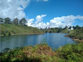  Grundstück zu verkaufen in Penol, Antioquia, Penol