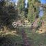  Terreno (Parcela) en venta en Los Lagos, Valdivia, Los Lagos