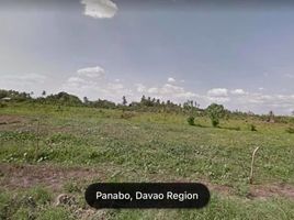  Land for sale in Davao del Sur, Davao, Davao City, Davao del Sur