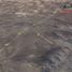  Terreno (Parcela) en venta en Chile, Vallenar, Huasco, Atacama, Chile