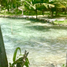  Land for sale in Othon P Blanco, Quintana Roo, Othon P Blanco, Quintana Roo, Mexico