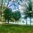  Land for sale in Othon P Blanco, Quintana Roo, Othon P Blanco, Quintana Roo, Mexico