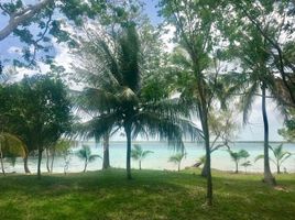  Land for sale in Othon P Blanco, Quintana Roo, Othon P Blanco, Quintana Roo, Mexico