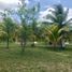  Land for sale in Othon P Blanco, Quintana Roo, Othon P Blanco, Quintana Roo, Mexico