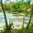  Land for sale in Othon P Blanco, Quintana Roo, Othon P Blanco, Quintana Roo, Mexico