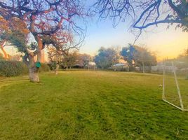  Land for sale in Maipo, Santiago, Paine, Maipo