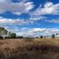  Land for sale in Zacatecas, Zacatecas, Zacatecas, Zacatecas