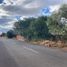  Land for sale in Zacatecas, Zacatecas, Zacatecas, Zacatecas