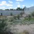  Grundstück zu vermieten in Torreon, Coahuila, Torreon