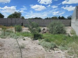  Grundstück zu vermieten in Torreon, Coahuila, Torreon