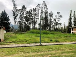  Terreno (Parcela) en venta en Cotacachi, Imbabura, Cotacachi, Cotacachi