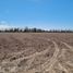  Land for sale in Maipu, Mendoza, Maipu