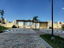  Grundstück zu verkaufen in Atlixco, Puebla, Atlixco, Puebla