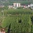 Terreno (Parcela) en venta en Citeureup, West Jawa, Citeureup, Bogor, West Jawa